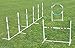 Dog Agility Essentials Set