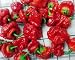 30+ ORGANICALLY GROWN Scotch Bonnet Jamaican Red Hot Pepper Seeds Heirloom NON-GMO Spicy, From USA