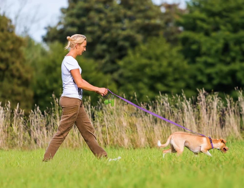 Taglory Guinzaglio per Cani Riflettente con Manico Imbottito e Gancio in Metallo, Nylon Resistente Addestramento Cane Guinzaglio, 1.8 m x 2.5 cm, Viola