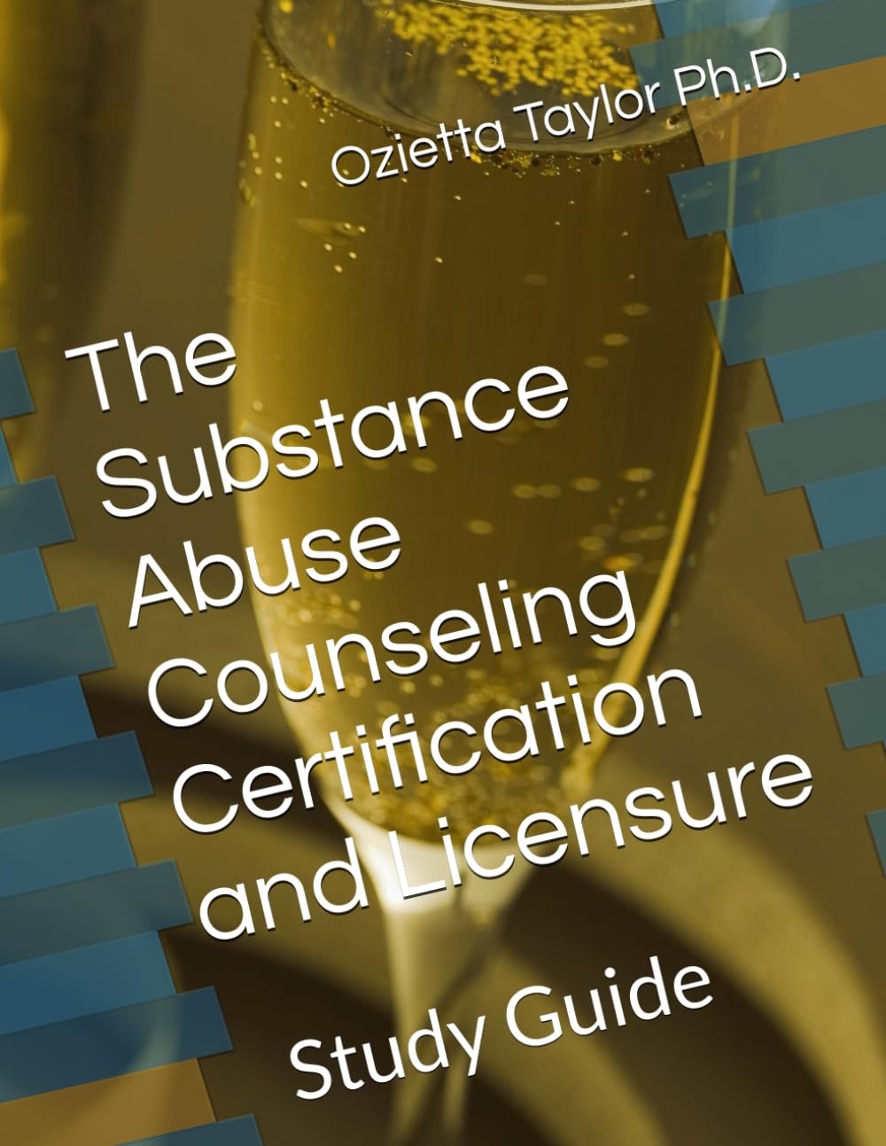 The Substance Abuse Counseling Certification and Licensure: Study Guide