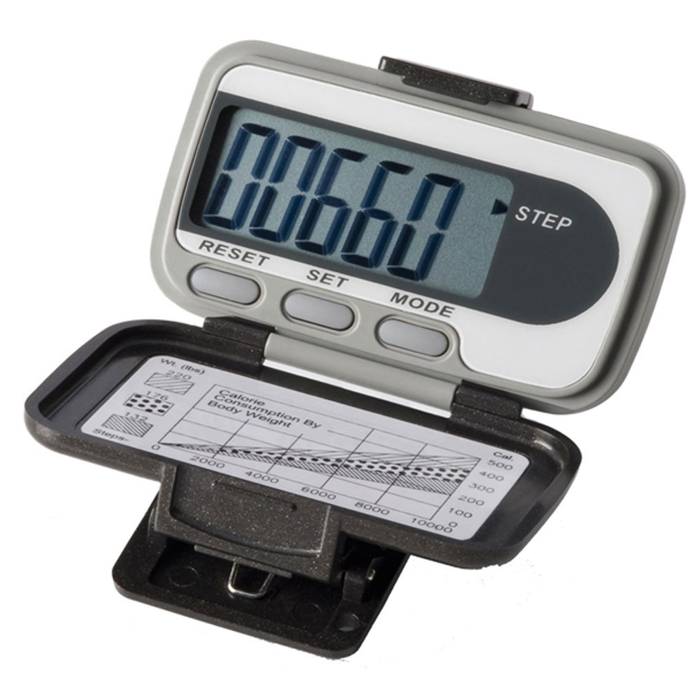 Ekho Two Pedometer (EA)