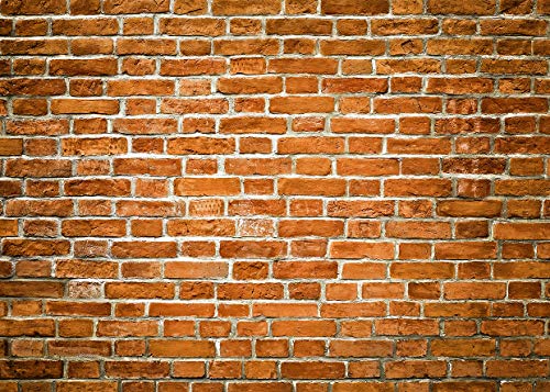 SJOLOON Backdrops for Photoshoot Red Brick Wall Backdrop Birthday Party Decoration Banner Studio Props Brick Backdrop for Photography 11872 (7x5FT)