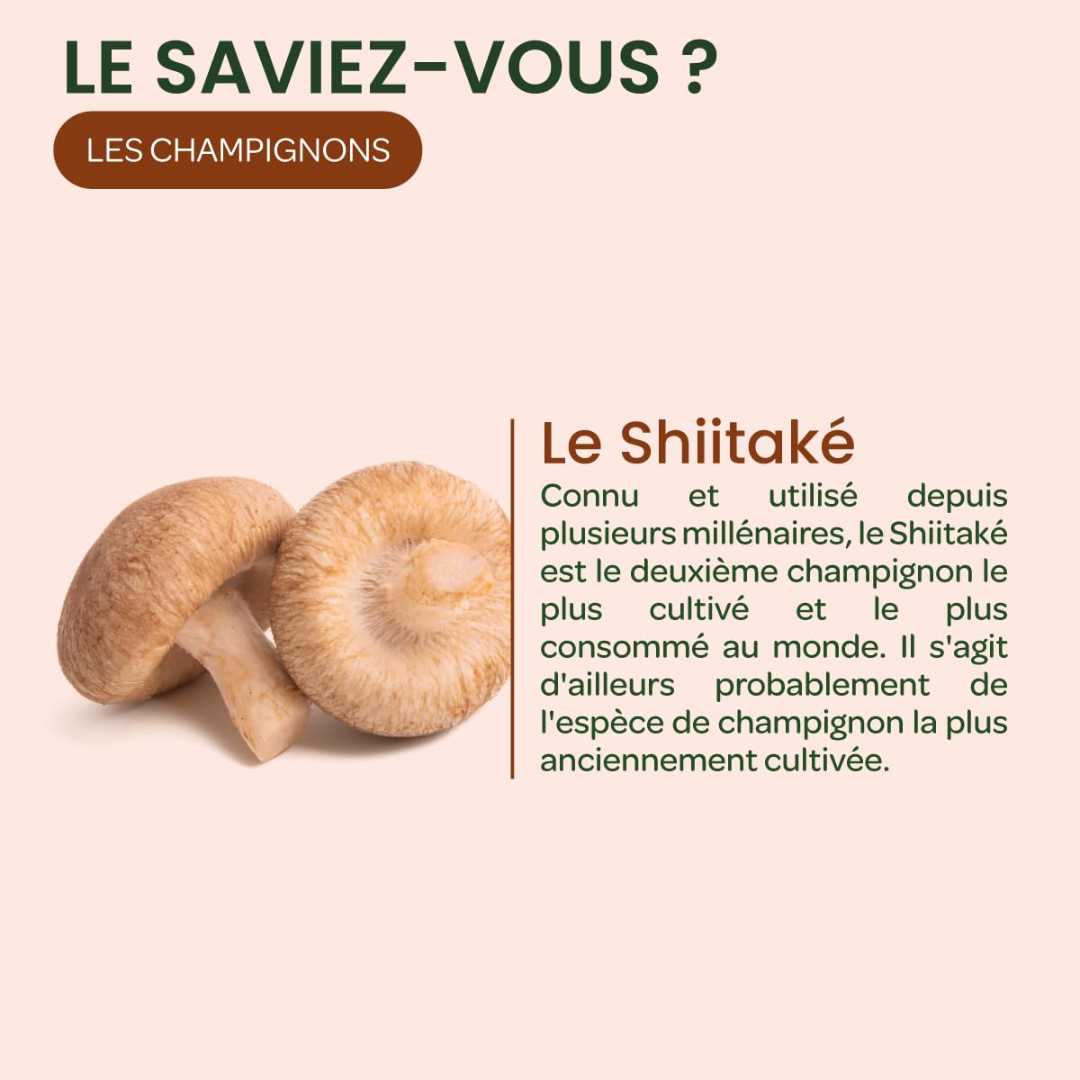 Shiitaké Reishi Maitaké - Champignons 100% français - Immunité - Ampoules | Cure 20 ampoules 10ml-Shiitaké 9000mg, Reishi 375mg, Maitaké 375mg-Méthode culture Japonaise-Fabrication Française-Superdiet