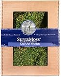 (25120) Mood Moss Preserved Natural Decor for Indoor and Outdoor Use, Appx 8oz Display Box, Fresh Green