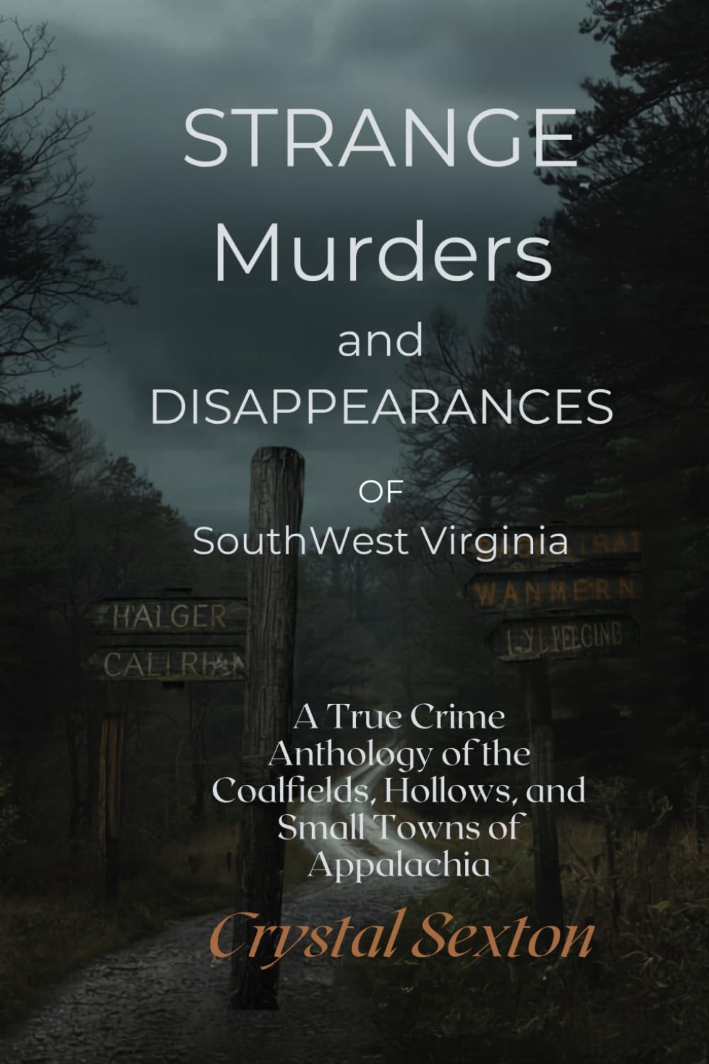 Strange Murders and Disappearances of Southwest Virginia: A True Crime Anthology of the Coalfields, Hallows, and Small Towns of Appalachia