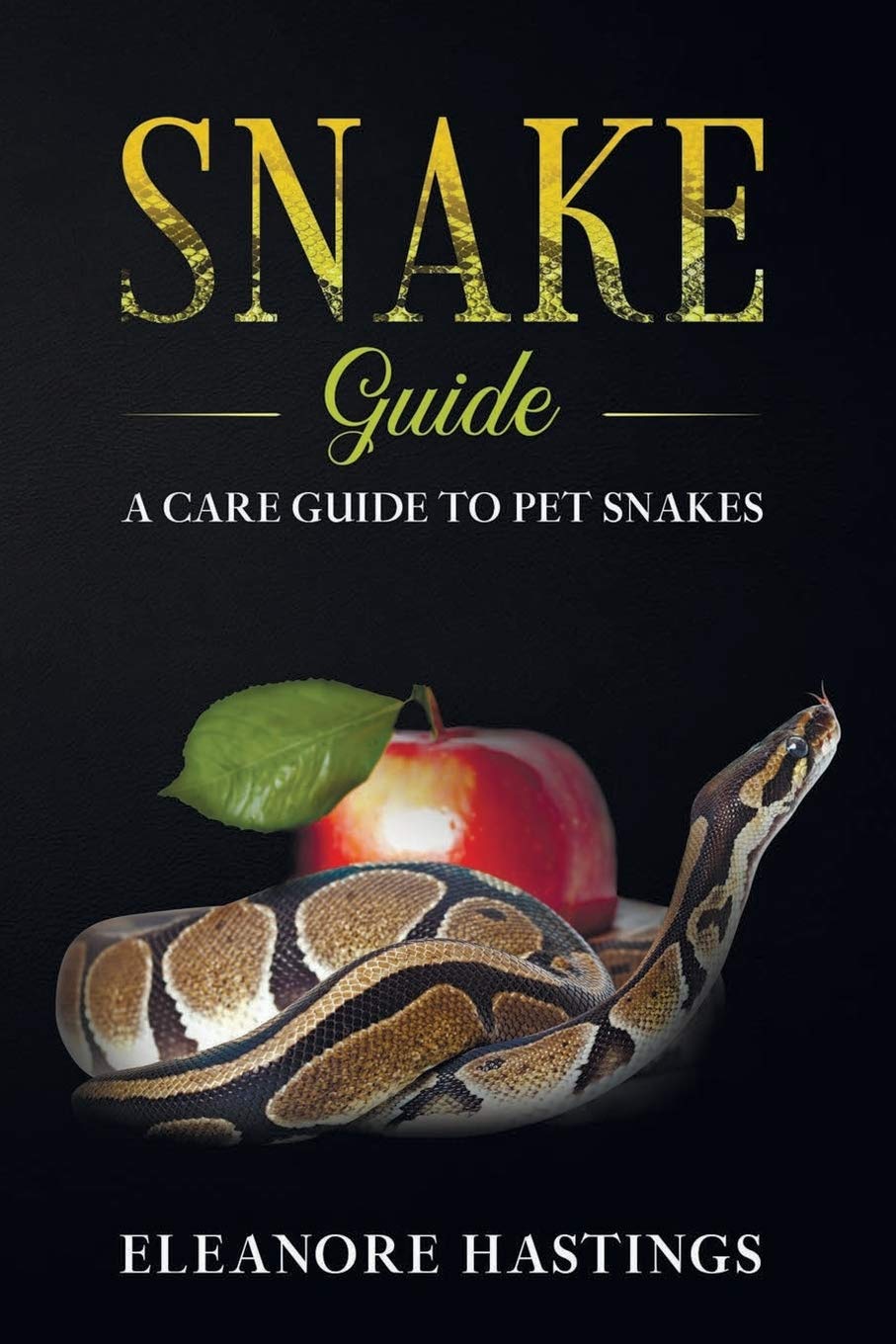 Snake Guide: A care guide to pet snakes: 1 (Pet reptile care)