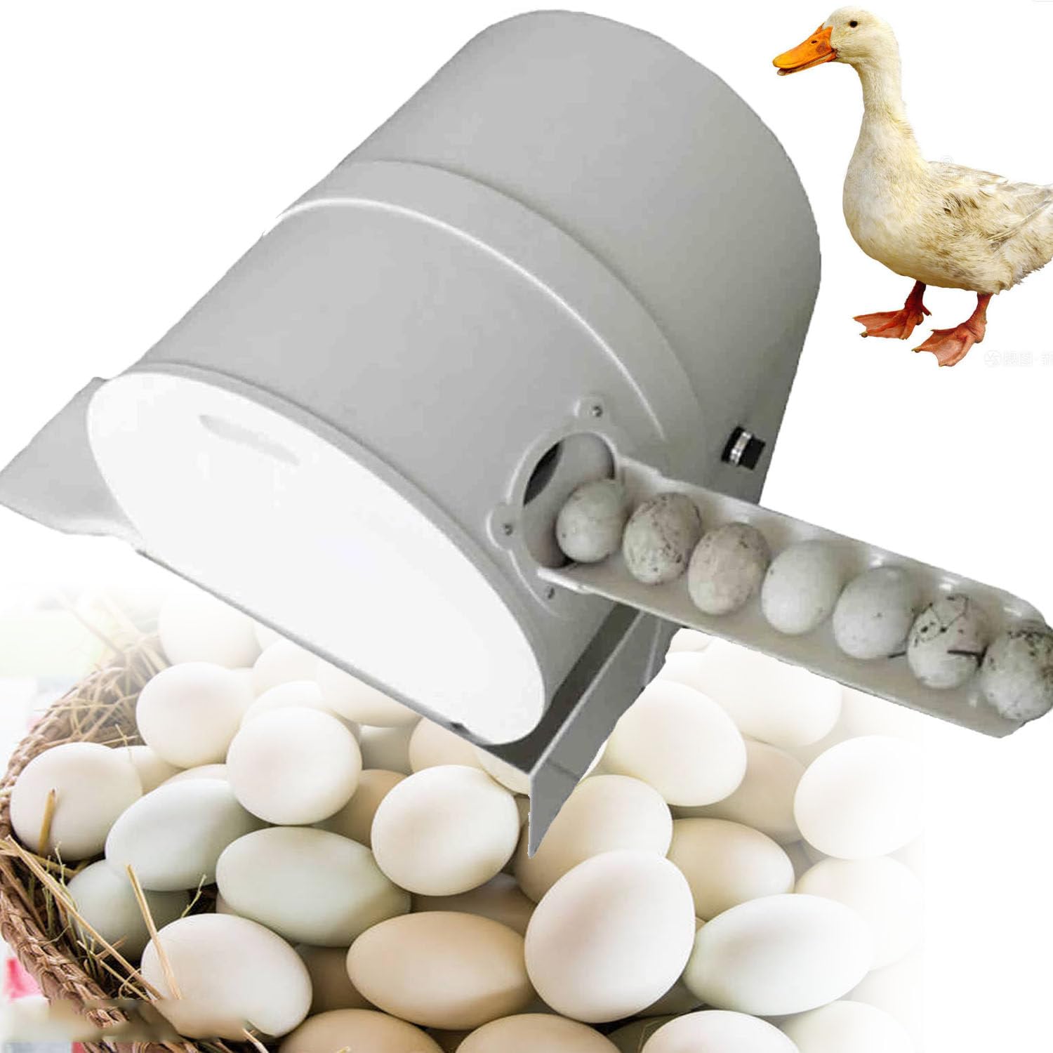 Lavadora de huevos para uso agrícola, limpiador industrial de 2300 piezas/hora, lavadora de huevos de pato, equipo de aves de corral pequeño