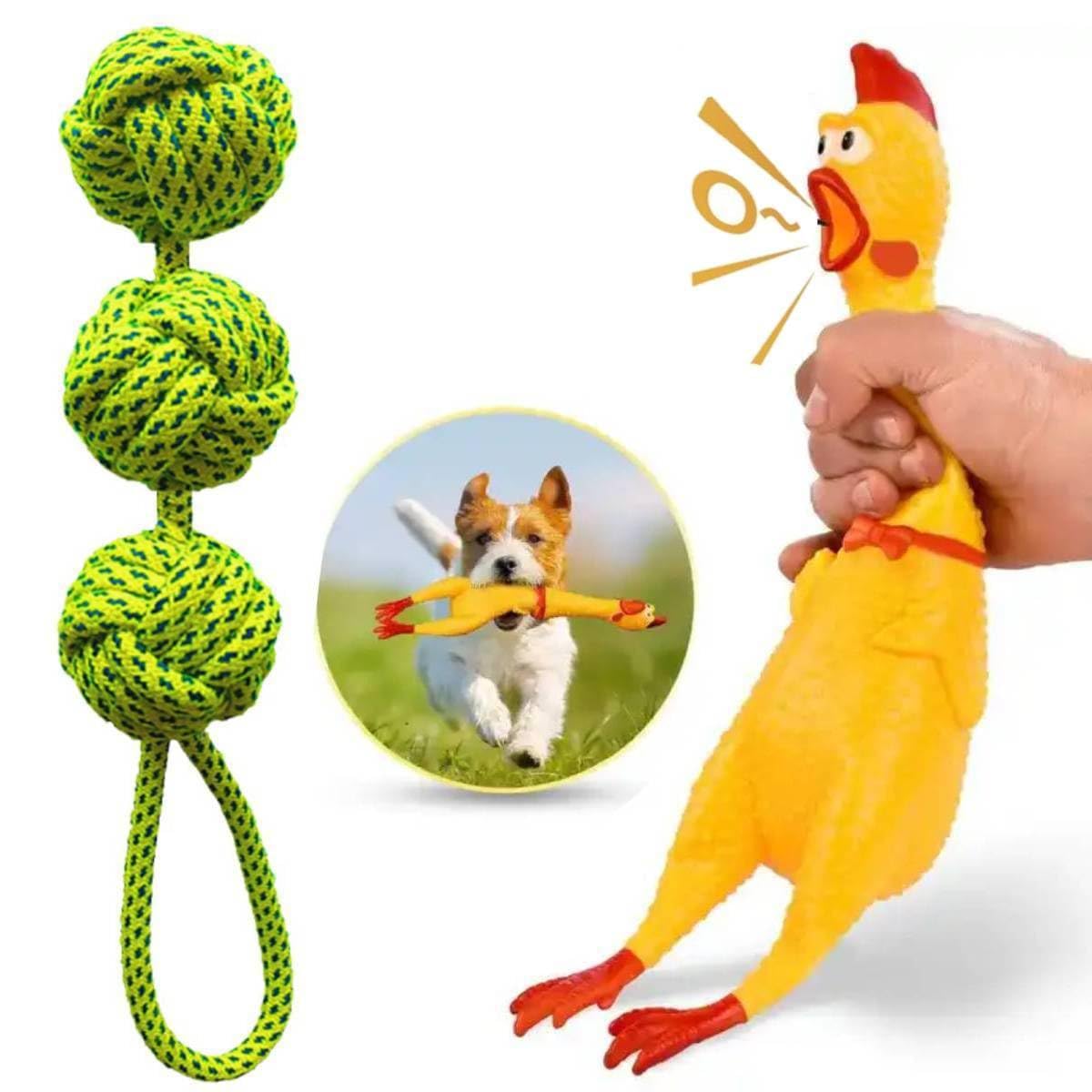PETZLUV Puppies Combo Toys for Dogs Squeaky Chew Natural Latex Rubber Chicken Toy (Large), 3 Ball Braided Cotton Rope Toys - Multicolor (Pack of 2) (B0D6BQRH7X) Amazon Price History, Amazon Price Tracker