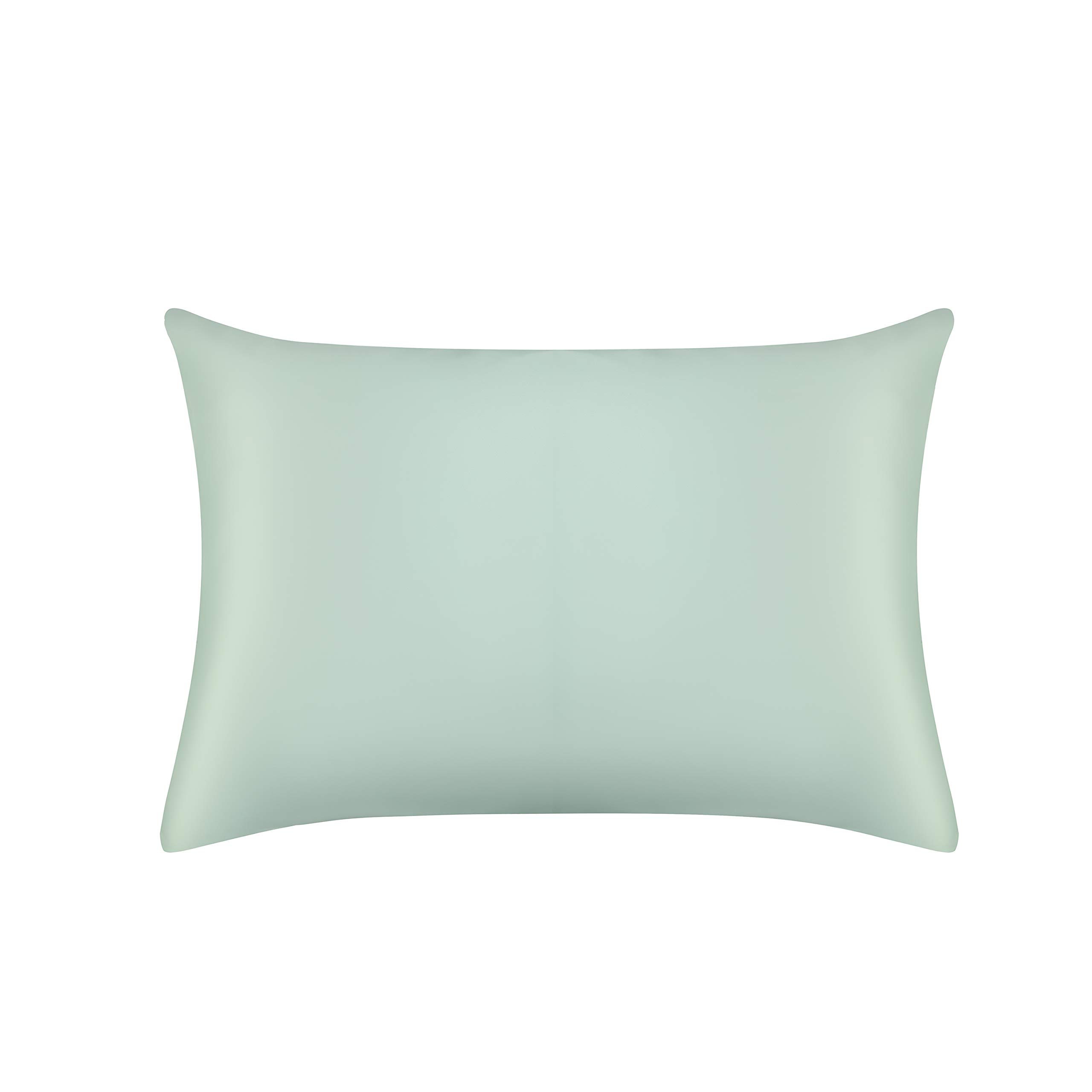 Jasmine Silk Duck Egg 100% 22 Momme Mulberry Charmeuse Silk Pillowcase For Hair And Skin 50 Cm X 75 Cm Envelope Closure (Duck Egg)
