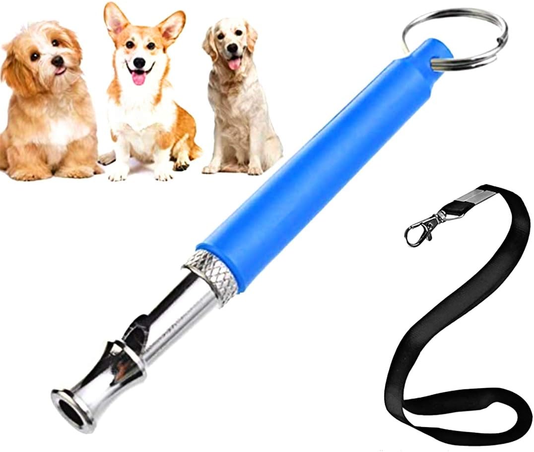 why is my cat eating litter pellets