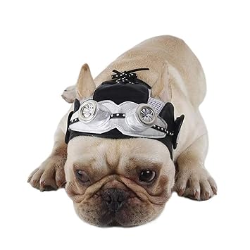 ZTON Pet Adorable Kitten Cat Puppy Costume Aviator Hat (L, Silver)