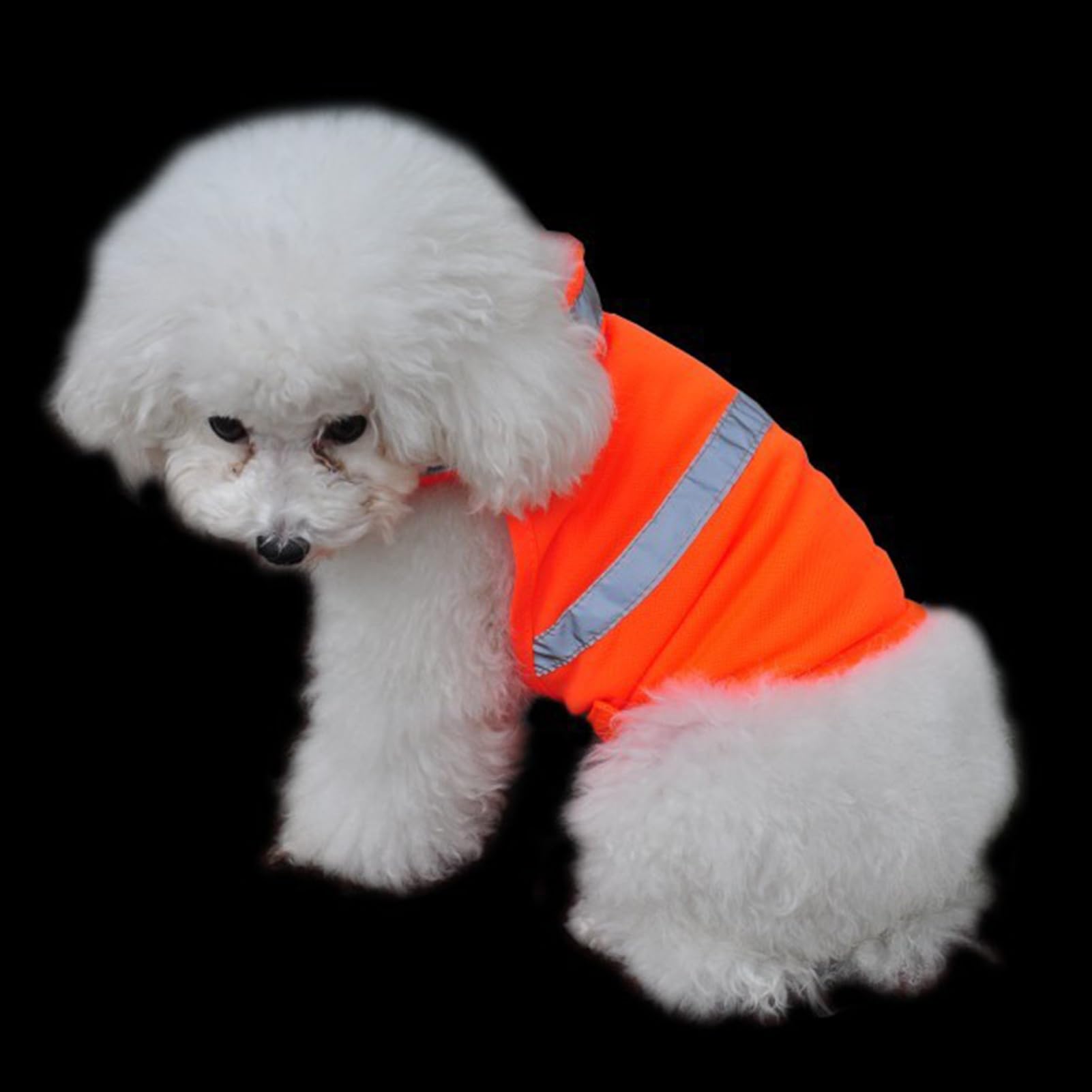 Gilet de sécurité pour Chien - Orange Fluorescent, Réfléchissant, Respirant - Chasse, Promenade, Entraînement