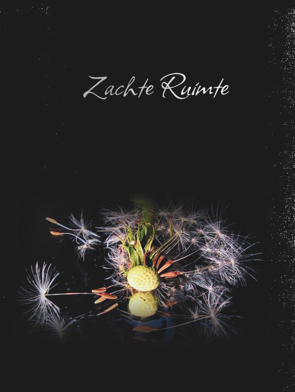 Zachte Ruimte: Een album van zelfacceptatie, reflectie en kleine verwonderingen