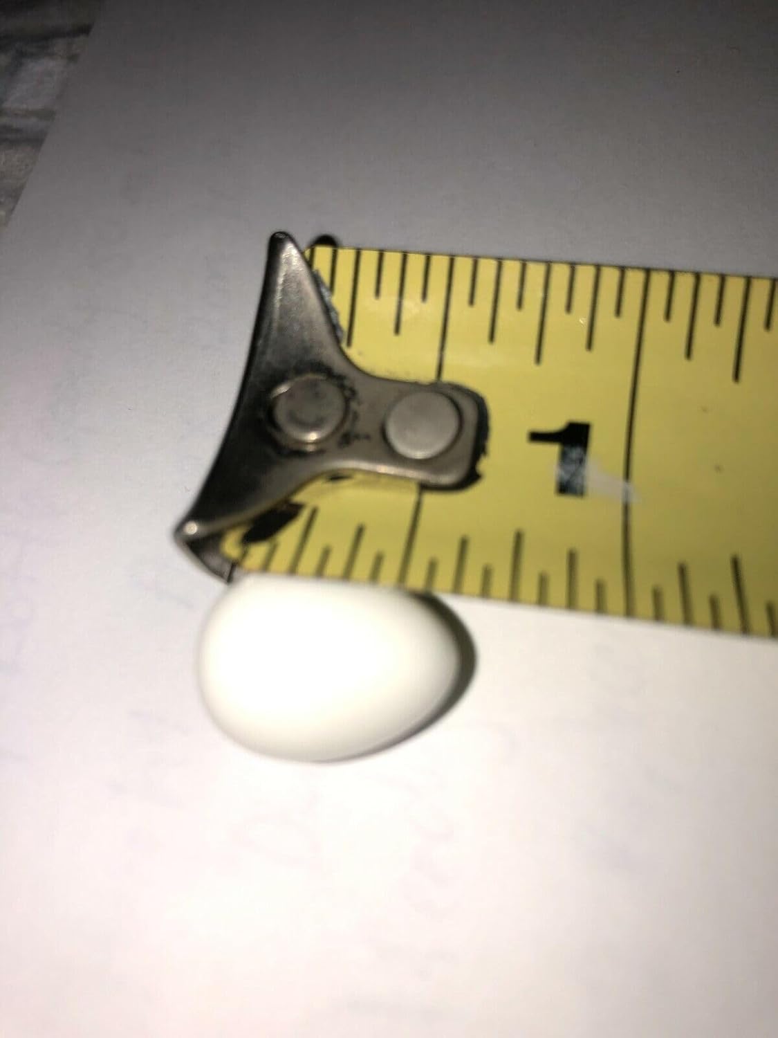 20 Plastic Fake Dummy Canary Eggs 16 mm x 12 mm 5/8" x 1/2" Canary Finch Small Birds.