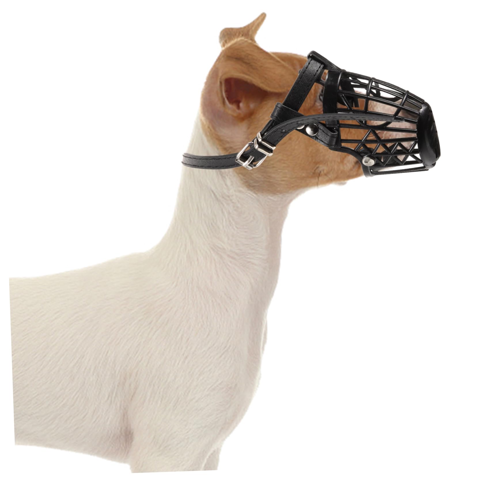 INOOMP Museruola per Cani in Plastica con Cestello Regolabile e Cinturino in Pelle Pu Nero, Set da 7 Unitá Anti-morso Traspirante per Cani e Animali Domestici