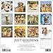 2016 Just Goldens Wall Calendar