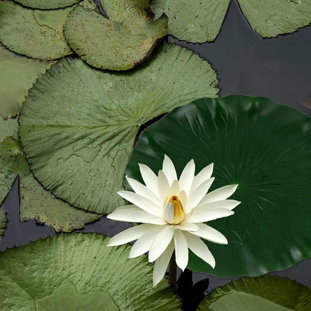 DOITOOL Artificial Lotus Leaves 15.7 Inch Floating Foam Pads Fishpond Aquarium Pool Decoration Realistic Water Lily Pads for Garden Patio Party Display Set of 3