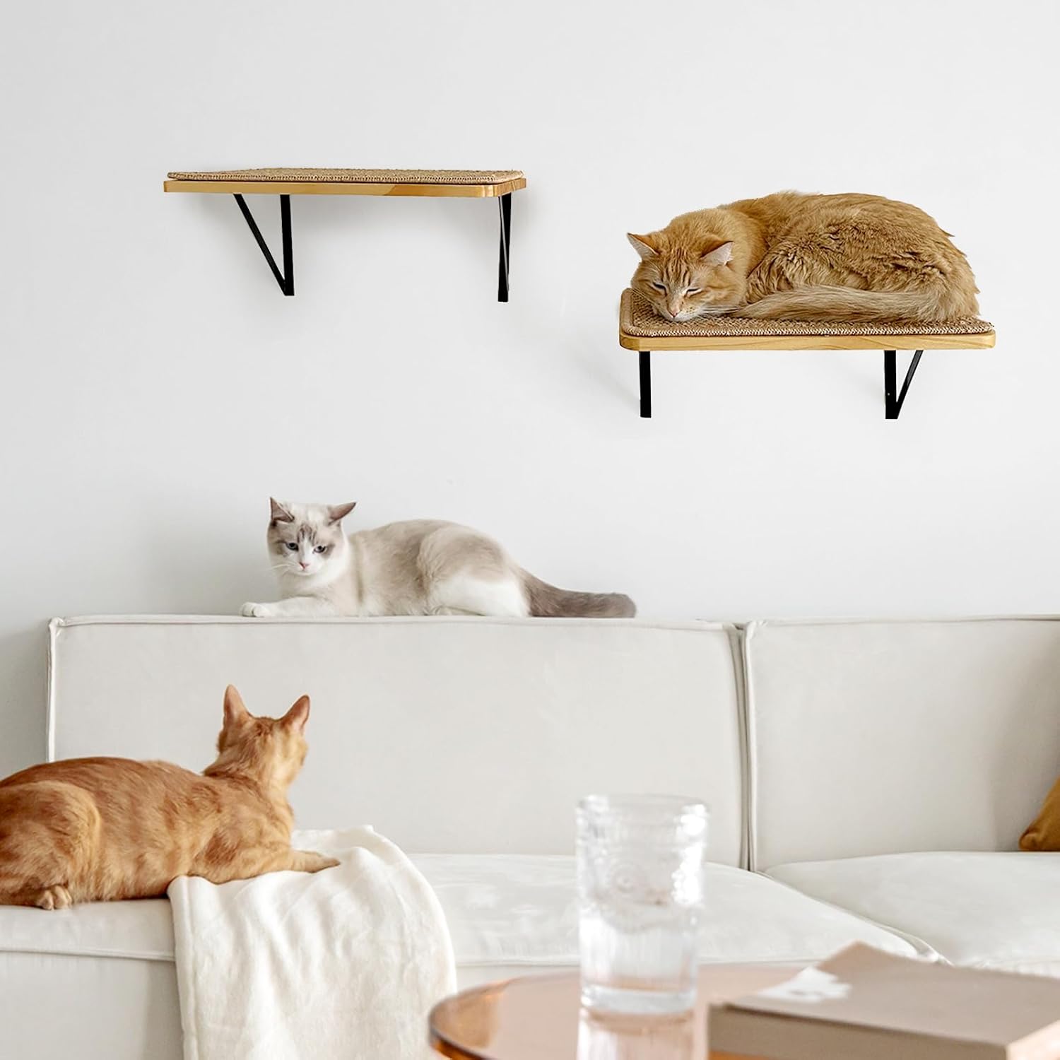 2Pack Wooden Cat Wall Shelves with Sisal Mat,16x9.8 Inch Cat Wall Step and Bed for Sleeping,Scratching and Playing.
