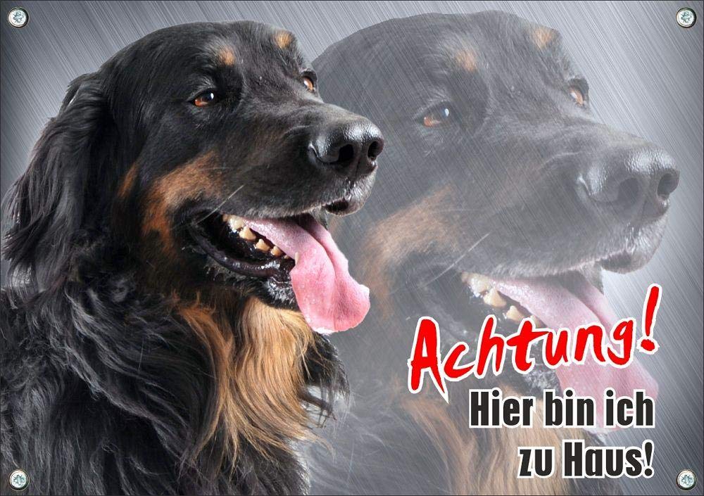 Hundeschild - Hovawart - hochwertiges Metallschild - rostfrei und beständig, DIN A4