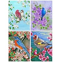 12 Mini Diamant Painting Vögel Set - Kleine DIY Diamond Art Für Erwachsene | Wanddeko & Entspannung
