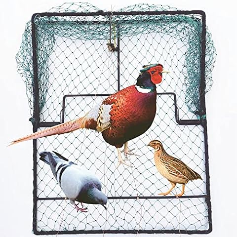 DSQSTMR Pigeon Trap Cover