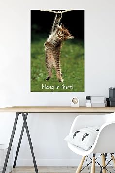 Trends International Kitten Hang In There Wall Poster 22.375 x 34 Bedroom
