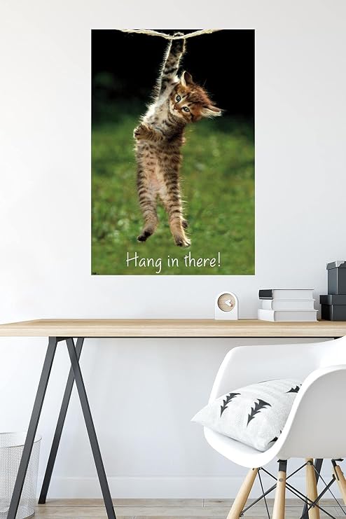 Trends International Kitten Hang In There Wall Poster 22.375 x 34 Bedroom