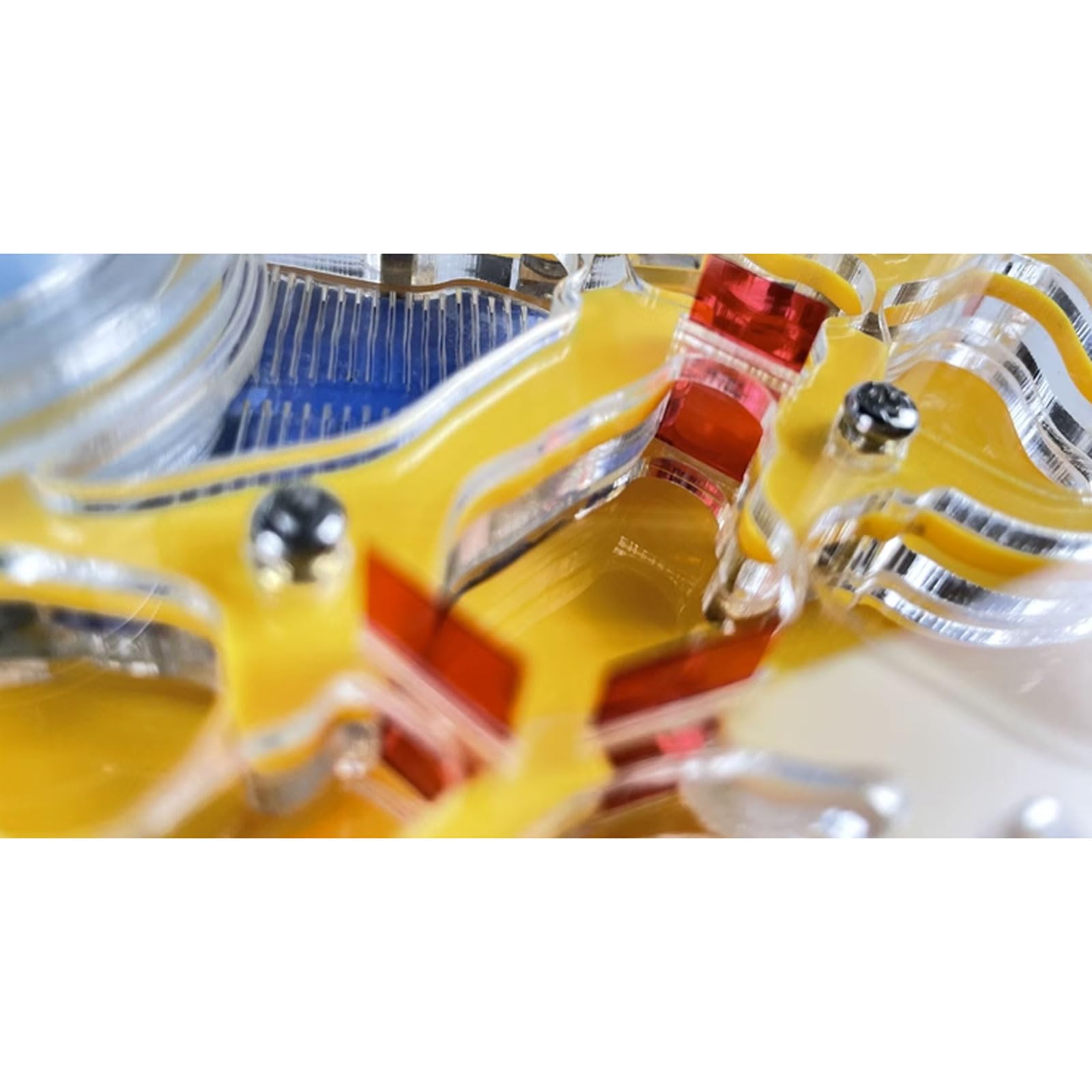 Formicaio Educativo In Acrilico Trasparente Con Torre D'Acqua - Osservazione Formiche - Foto 13