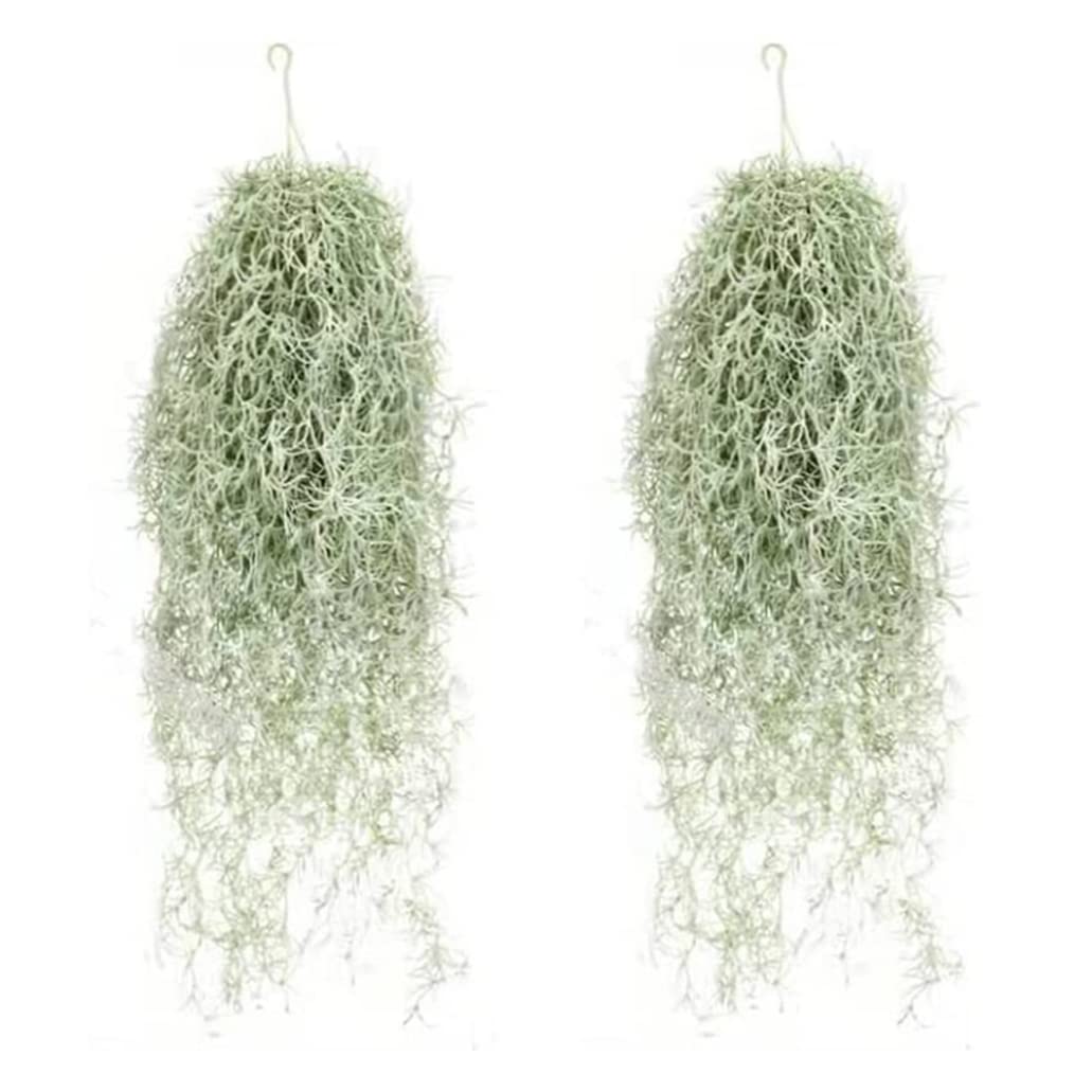 Hperu Faux Hanging Moss, 2Pcs Spanish Moss Artificial Hanging, Realistic Plastic Faux Vines for Garden Greenery Decor and Natural Looking Displays