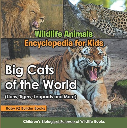 Wildlife Animals Encyclopedia for Kids - Big Cats of the World (Lions, Tigers, Leopards and More) -
