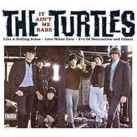 The Turtles Ablum Cover