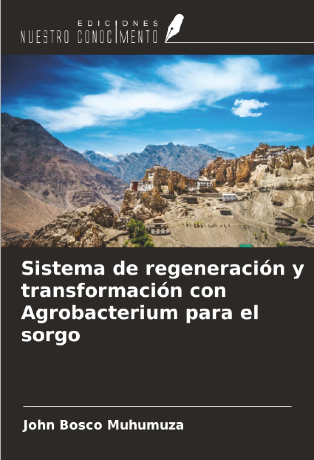 Sistema de regeneración y transformación con Agrobacterium para el sorgo