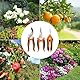 Wixovo 3 Stück Gartenschere, Gardena Gartenschere aus Edelstahl, Rosenscherem, Pflanzenschere für Äste, Blume Obst und Gemüse, Orange