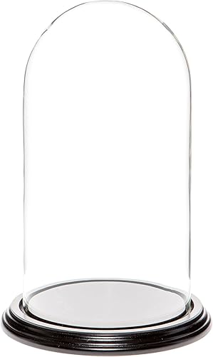 Miniatura 10 de Plymor Cúpula de cristal de 5.5" x 10" (base de chapa de roble)