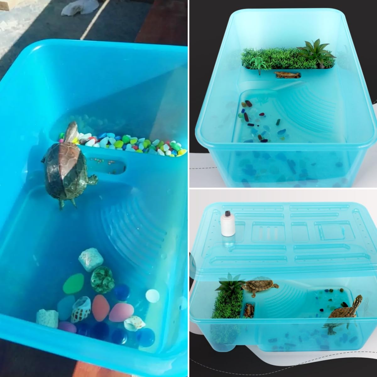 Amazon | カメ用水槽 亀 水槽 大型 飼育ケース プラスチック