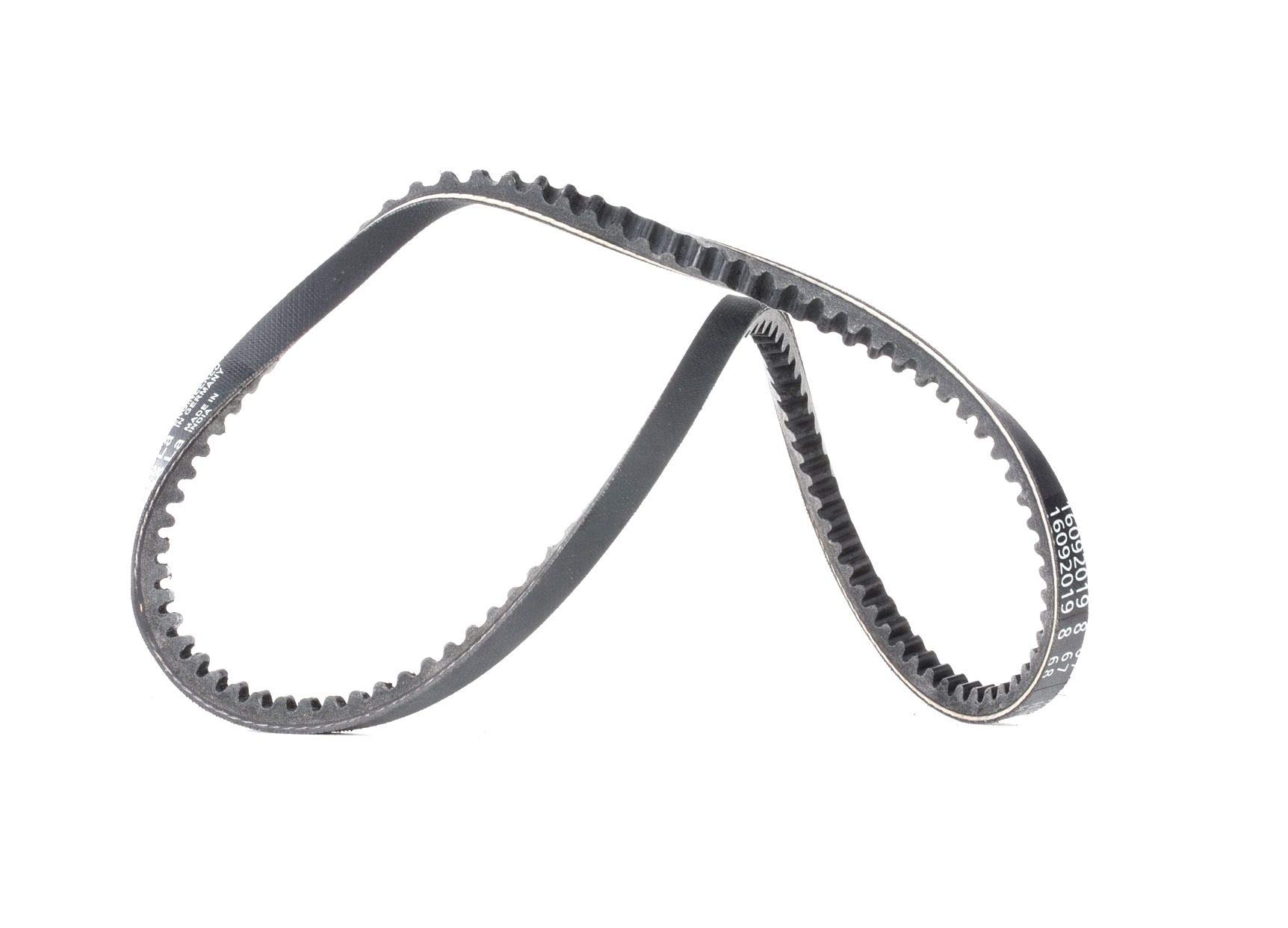 Contitech AVX10X735 V-Belt