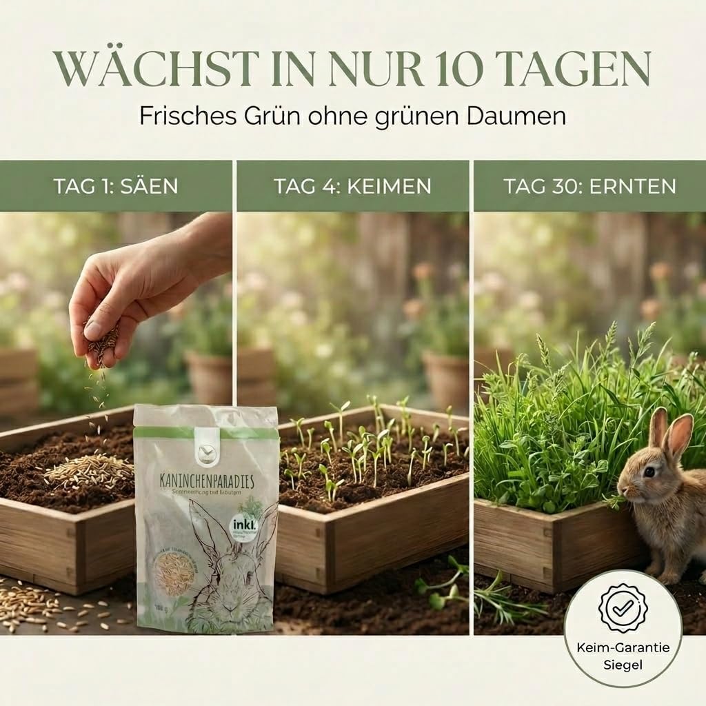 HappySeed 100g Kaninchenwiese Samen - Kleintierwiese Saatgut fr die  ganzjhrige Anzucht von frischem Zusatzfutter fr Kaninchen und andere  Kleintiere : Amazon.de: Haustier