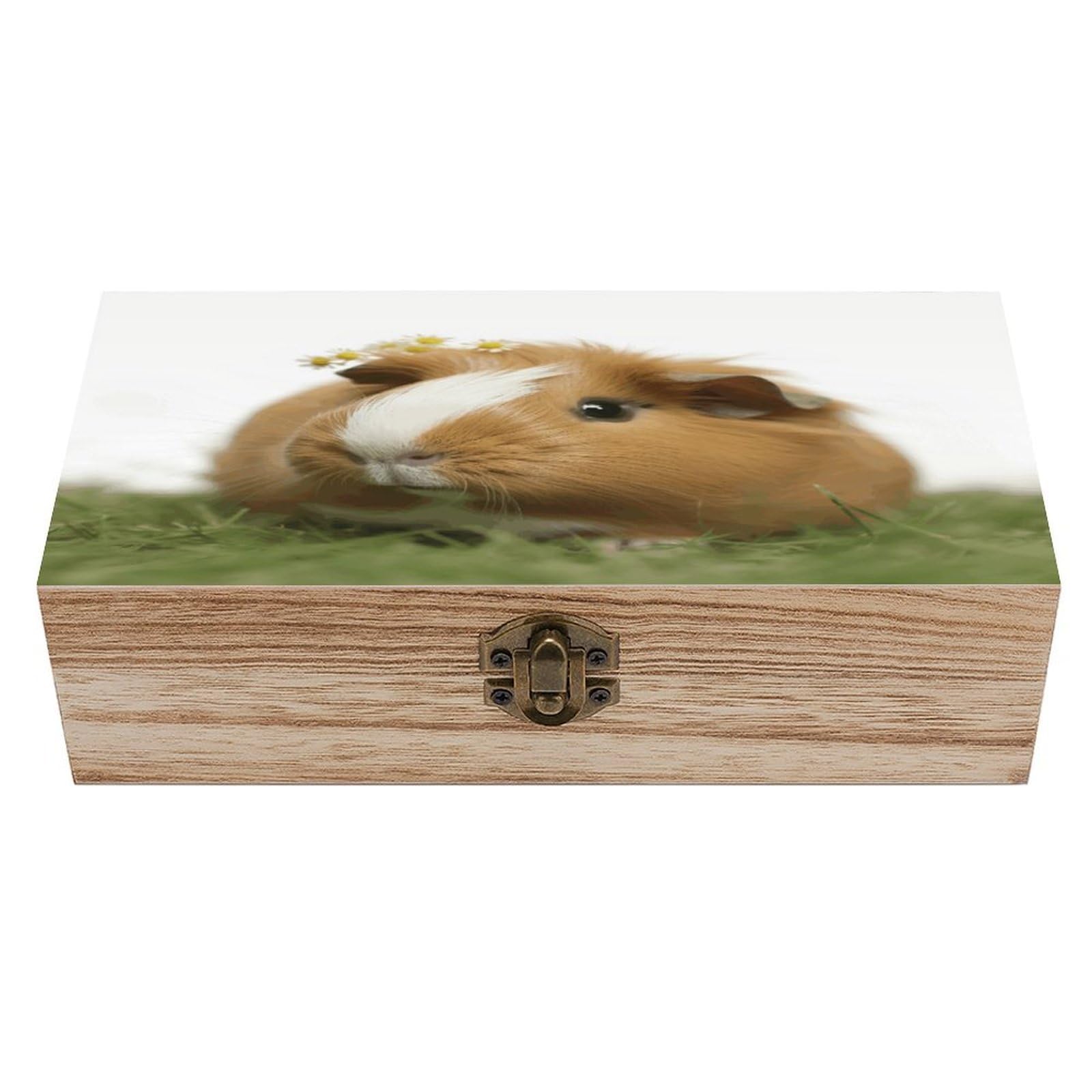Btcowzrv Style Guinea Pig Wooden Storage Box, Keepsake Box With Hinged And Retro Lock, Wood Jewelry Organizer For Photos & Mementos And Home Decor