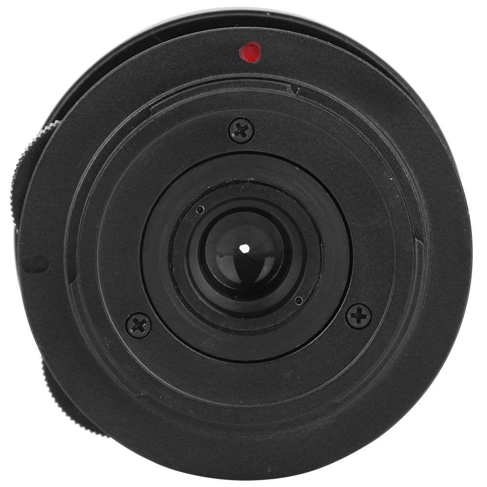 Len grandangolare, 8mm F3.8 Obiettivi per fotocamera Fish Eye Lenti Mirrorless per fotocamera Olympus/Panasonic M4/3, per ritratto, paesaggio, cortometraggio video, riprese macro