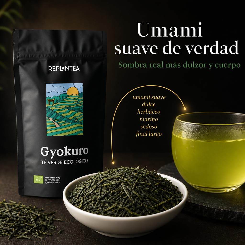 TÉ VERDE GYOKURO JAPONÉS Ecológico 100g (50 Tazas) | Té Gyokuro Premium de Hoja Suelta | Té de Especialidad REPLANTEA