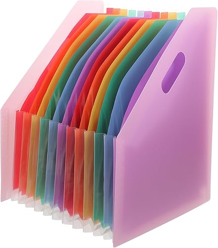Ciieeo Organizador de carpetas de archivos de plástico multicolor A4, caja de archivos de escritorio, carpeta de archivo de acordeón, organizador de