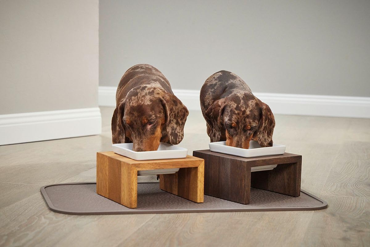 Wolters Cat & Dog Écuelle Meshidai True