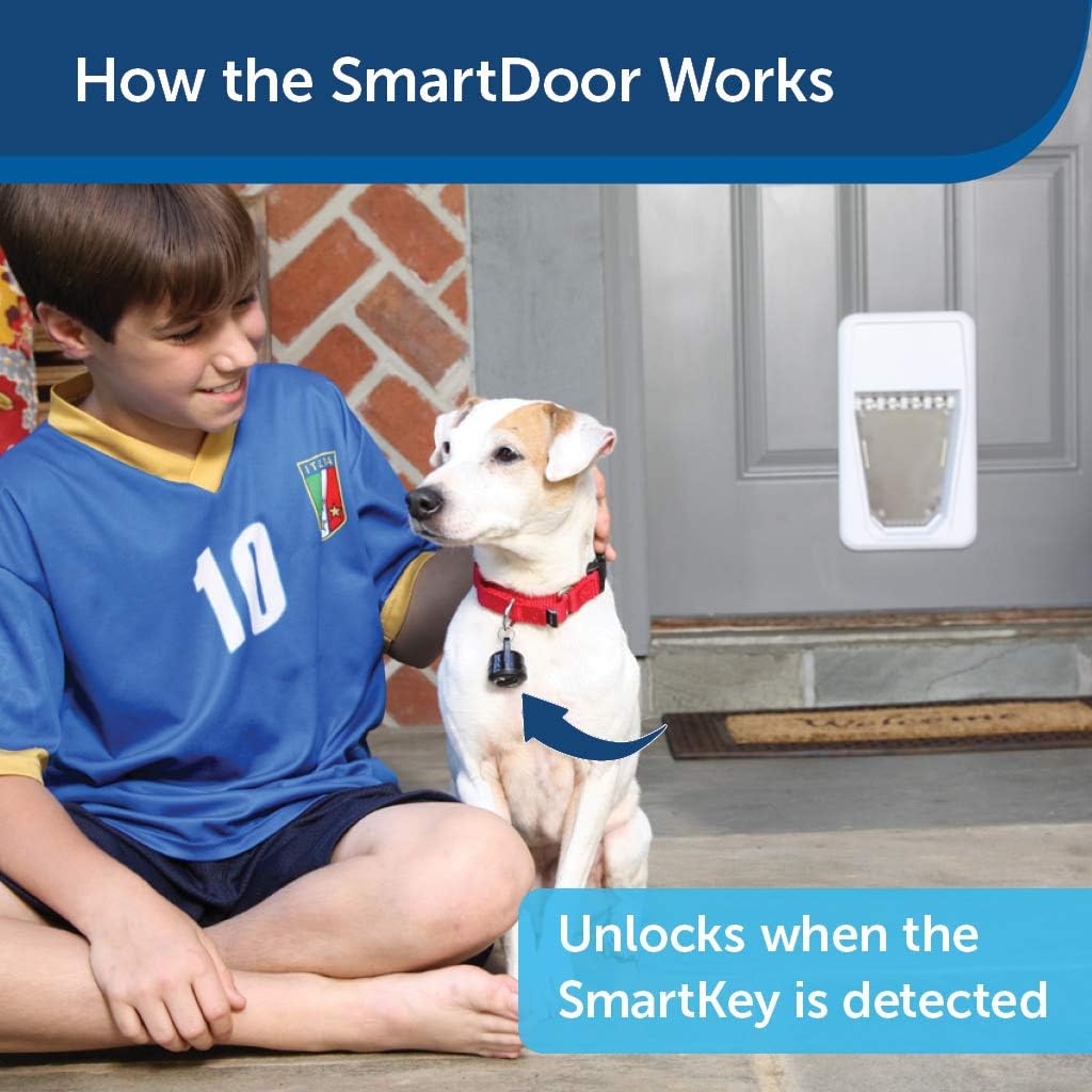 PetSafe Electronic SmartDoor - Collar Activated Dog and Cat Door - Small to Large Pets : Pet Doors : Pet Supplies