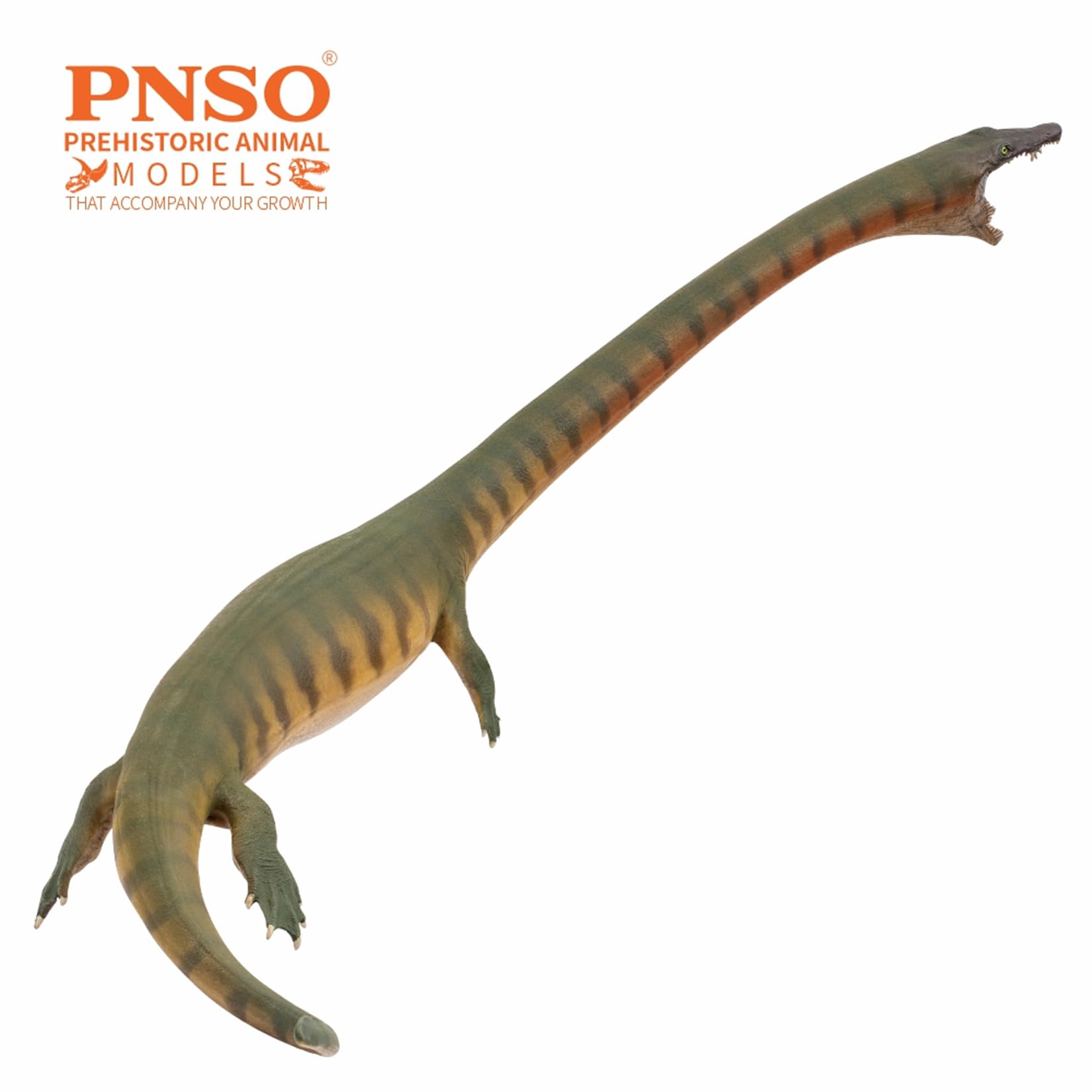 Amazon | PNSO 成長シリーズ 91 ディノケファロサウルス フィギュア