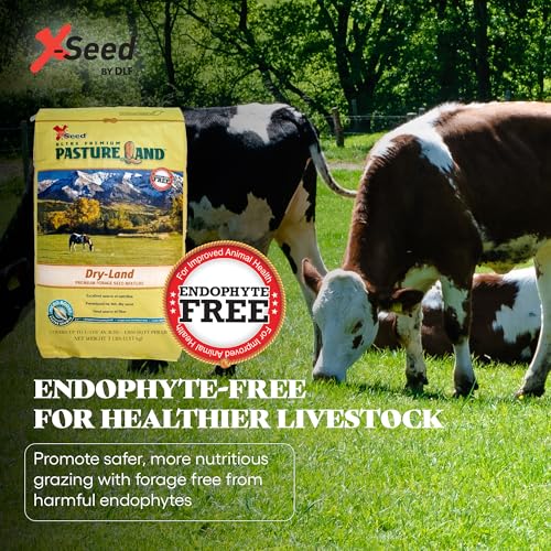 Forage Crop Seed Blends For Cattle Feed Temperate Climates