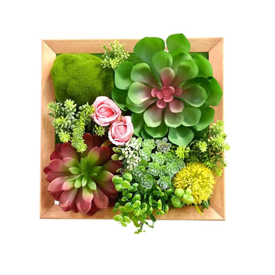 多肉の壁掛けインテリア 【公式通販】