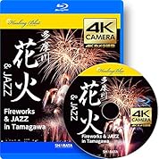 全てがドラえもんになるメガネで花火を見た結果がヤバい ニコニコ動画