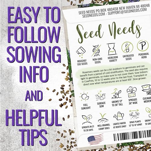 Seed Needs Rosemary Seeds for Planting - Non-GMO Heirloom & Untreated Perennial Herbs to Plant a Medicinal & Culinary Kitchen Garden Indoors or Outdoors (1 Pack) - Image 4