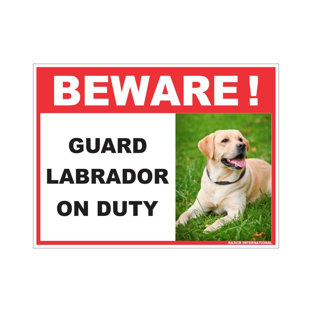Is Labrador A Guard Dog