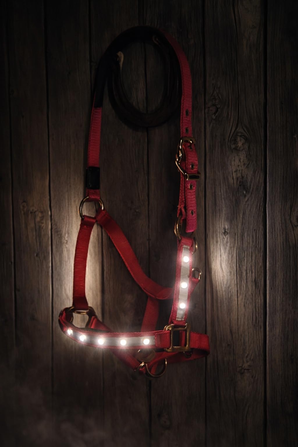 Premium Leuchthalfter Reflexhalfter Sicherheitshalfter Stallhalfter Weidehalfter LED-Nylonhalfter Starlight (Cob, pink/Silber)